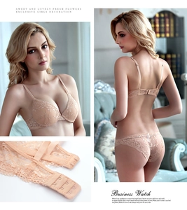 Detailed view of nude lace lingerie set with adjustable straps and hook-and-eye closure