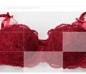 Detailed close-up of intricate red floral lace embroidery and ribbon bow on the bra cup