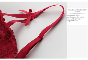 Detail of red lace bra with adjustable satin shoulder straps and decorative bow
