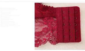 Detail of burgundy lace bra showing the wide five-row hook and eye back closure