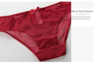 Detailed view of red sheer mesh lace panties with a delicate bow and floral vine embroidery