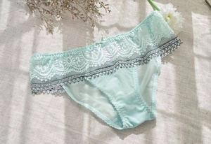 Detail of light green lace panties with mesh fabric and delicate floral embroidery