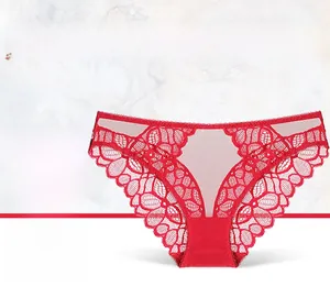 Detail von roten Blumen-Spitzenslips mit transparentem Mesh und atmungsaktivem Zwickel