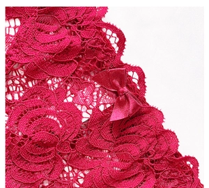 Detail aus dunkelroter Spitze mit Rosenstickerei und Seidenschleife auf Damenunterwäsche
