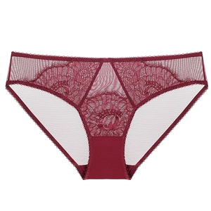 Détail de la dentelle bordeaux et du mesh sur ce slip sexy pour femme à taille basse