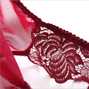 Close-up of red lace floral embroidery and sheer mesh fabric on women's low-waist briefs