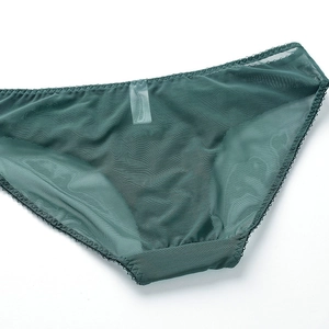 Vue détaillée du tissu en maille vert foncé et de la dentelle fine de cette culotte