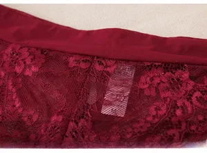 Detailed close-up of wine red floral lace fabric and elastic mesh on women's low-waist panties