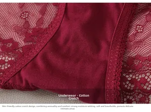Macro shot of breathable cotton crotch detail on sheer wine red lace panties for women