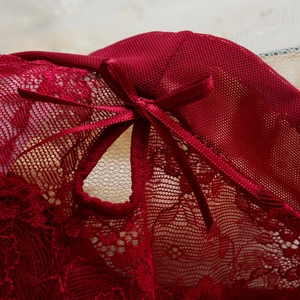 Sexy wine red lace panties for women featuring a delicate satin bow and floral mesh detail