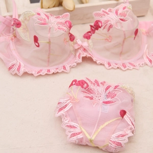 Close-up of pink sheer mesh lingerie with floral embroidery and lace trim details