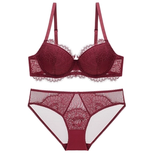 Sexy Eyelash Lace Bra And Panty For Women Thin Cotton Underwire Uplift Floral Mesh Embroidery Lingerie Briefs Lingerie