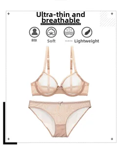 Flat lay of sheer beige lingerie set featuring a lace-trimmed bra and matching briefs
