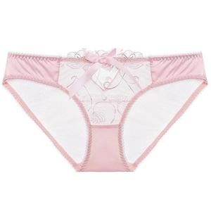 Sheer pink mesh lace panties with floral embroidery and a satin bow on a white background