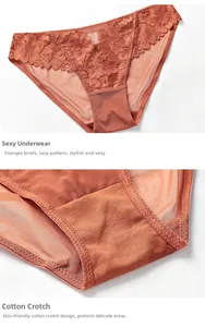 Detail von rotbraunen Spitzen-Slips mit Baumwollzwickel und transparentem Netz