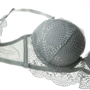 Soutien-gorge push-up en dentelle grise élégante avec broderie florale et maille filet