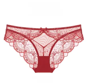 Detail of red lace floral embroidery and transparent mesh with a small bow decoration