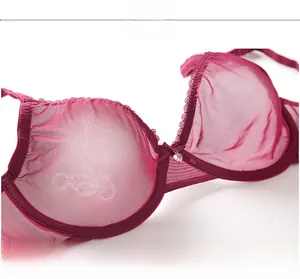 Detail of wine red sheer mesh bra cup with lace trim and heart pendant jewelry