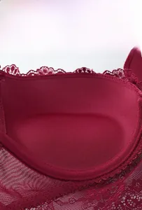 Macro detail of breathable inner lining and floral lace edges on dark red bra cup