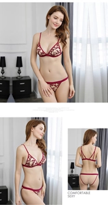 Detailed close-up of red lace triangle cup bra set with floral embroidery and mesh