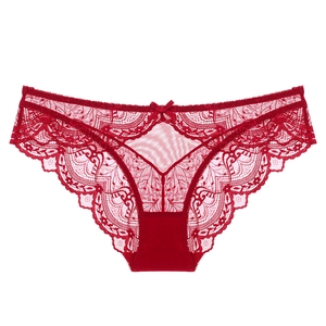 Women Sexy Lace Mesh Panties With Cotton Crotch Breathable Low Waist Floral Briefs Bow Decor Comfortable Lingerie Underwear