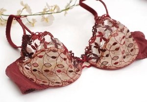 Détail du soutien-gorge en dentelle bordeaux avec broderie de feuilles et petit nœud