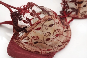 Détail d'un soutien-gorge en dentelle bordeaux avec broderie florale et tulle transparent