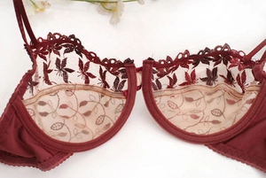 Gros plan détaillé sur un soutien-gorge en dentelle bordeaux avec broderie fine