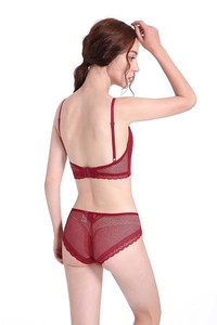 Rear view of wine red lace lingerie set with mesh details and scalloped bra trim
