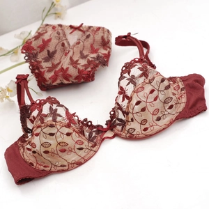 Women Sexy Ultra Thin Lingerie Set Embroidery Floral Lace Bra And Panties Push Up Minimizer Plus Size Lingerie Set