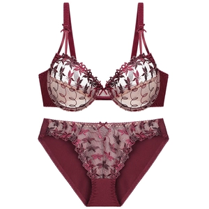 Lace embroidery lingerie set in deep red featuring sheer bra and matching panties