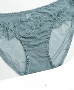 Detail of teal French lace underwear showing intricate embroidery and mesh texture