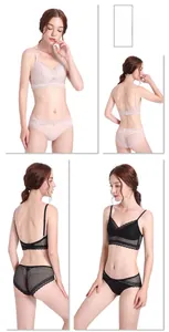 Detailed view of french style lace triangle cup bra and mesh panty set in pink and black