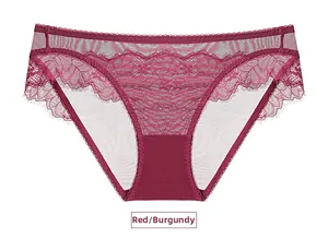 Detailed close-up of wine red lace panties with floral embroidery and mesh texture
