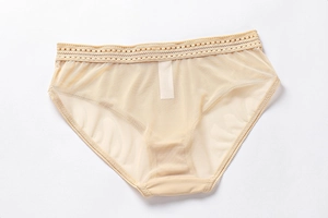 Detail of nude mesh underwear featuring delicate lace waist and breathable fabric texture
