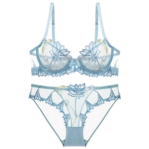 Light blue mesh lingerie set with intricate floral embroidery and bow detail