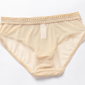 Women's breathable mesh brief with delicate lace trim in skin tone color