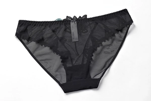Detail view of sheer black lace mesh panties with delicate floral embroidery and soft lining