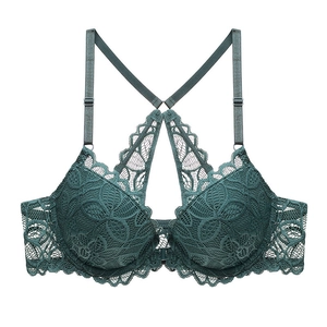 Macro view of exquisite emerald lace texture with elegant scalloped edges on the bra