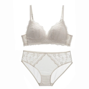 Detail of off-white French lace bra and mesh panties set with floral embroidery