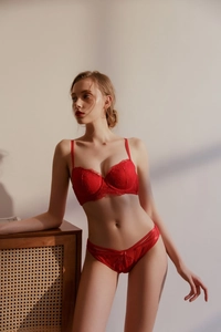 Detailed view of red French lace lingerie set featuring intricate floral embroidery