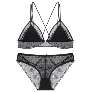 Detail of black French lace triangle bra and matching panties set with sheer mesh