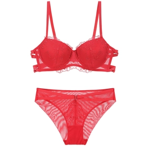 Detailed view of red French lace lingerie set with floral embroidery and mesh panties