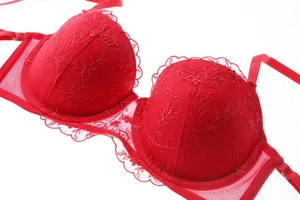Detail showing red lace floral embroidery and scalloped edges on the bra cup