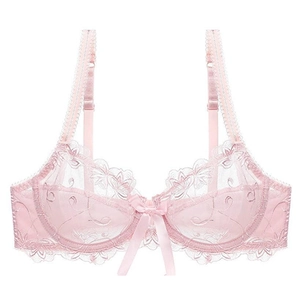 Sultry pink floral lace embroidery bra in sheer mesh fabric with silk bow detail