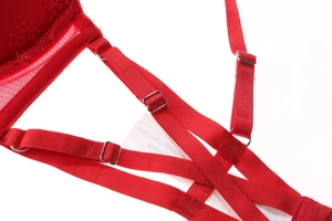 Detail of red lace lingerie featuring adjustable criss-cross straps and metallic buckles