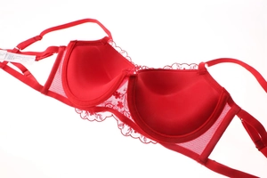 Detail view of red lace bra featuring floral embroidery and adjustable straps