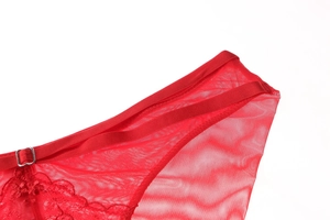 Detail of red lace lingerie brief with adjustable double straps and metal hardware