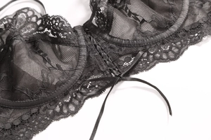 Detail of floral lace bra with delicate ribbon bow and sheer embroidery texture