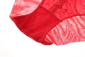 Detailed view of red semi-transparent mesh panties with intricate floral lace embroidery